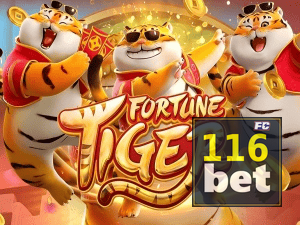 Guia install APK BET116 BR