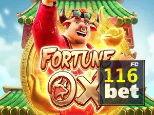 BET116 login — painel de entrada no app oficial